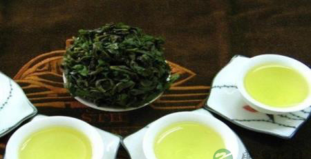 夏天首选茶饮都在这里