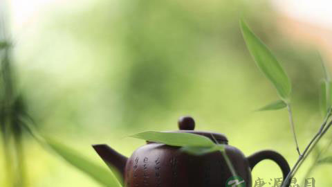 大青草河茶具有清热解毒 凉血消肿功效