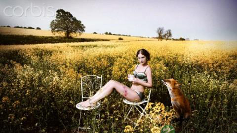 太子参凉茶制作及功效介绍