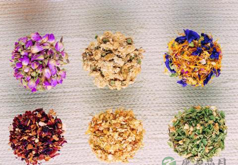 参术姜夏茶温中和胃止呕功效