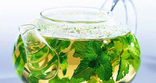 最适合办公室女人的十种健康茶