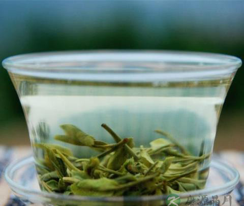 霜桑叶茶具有润眼明目可有效缓解眼疲劳功效