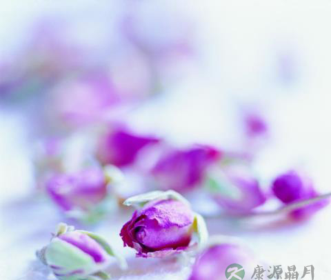 三花药茶制作及功效介绍