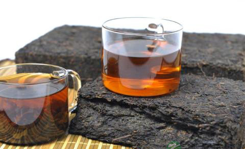 黑茶的主要功能成分及药理功效介绍
