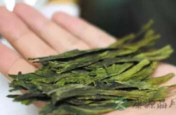 春绿中的两种极致：碧螺春与猴魁