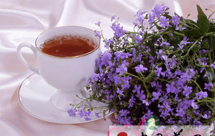 时尚茶疗养生清香四溢
