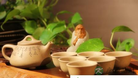 胃不好，又容易感冒就喝这9种茶