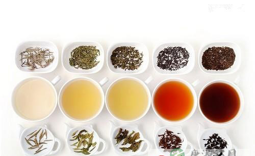 人生有千百种 茶亦有千百种