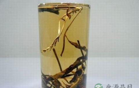 霍山黄大茶功效与作用介绍