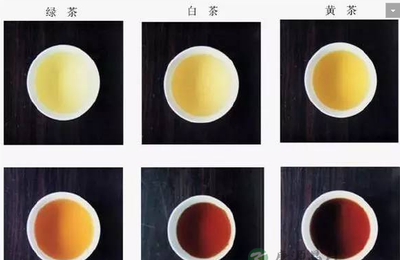 正确饮茶才对身体有诸多好处