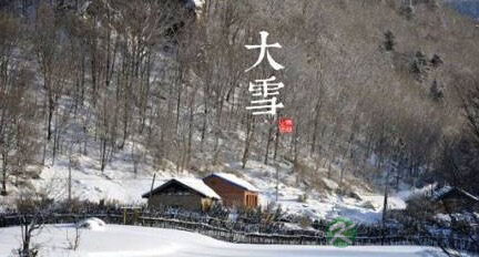大雪节气的茶养生！