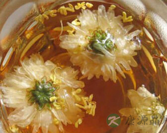 喝菊花茶的小知识
