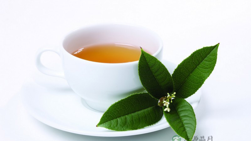 荧屏面前饮茶有利于身体健康