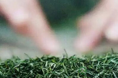 夏天喝茶，你不可不知的四大好处