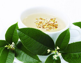 具有养胃功效的花草茶