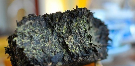 茯砖茶有调节肠道免疫功能的作用