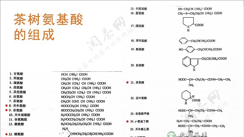 茶学小识：过则为灾的氨基酸