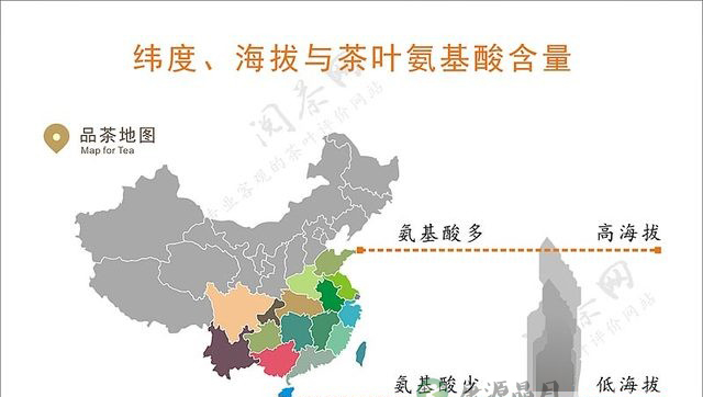 茶学小识：过则为灾的氨基酸