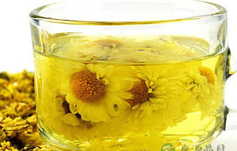 喝茶养生有讲究分清体质喝对茶