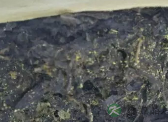 夏天来了 酷暑炎炎 黑茶来给你减脂降暑