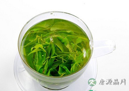 口腔异味怎么办？常喝苦丁茶可去异味