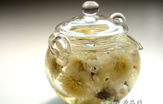 泡菊花茶不宜加糖