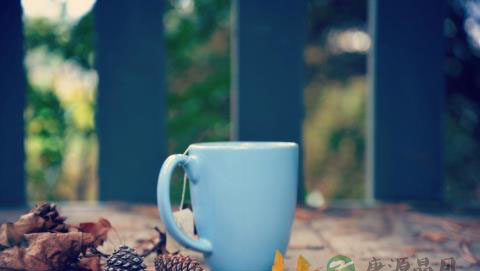 喝茶有五不宜介绍