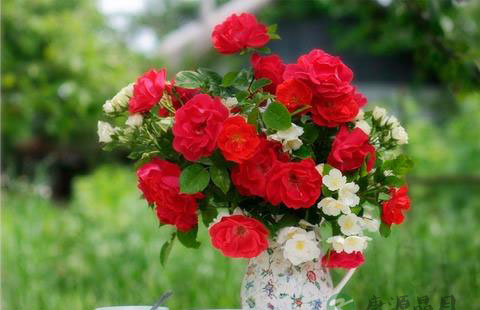 饮茶养生还能益寿 饮茶养生还能益寿