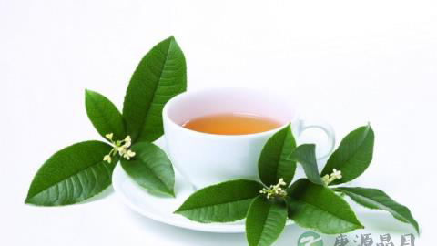 南瓜茶降糖 降脂 降压功效