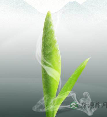 蜂蜜柠檬茶材料及做法介绍