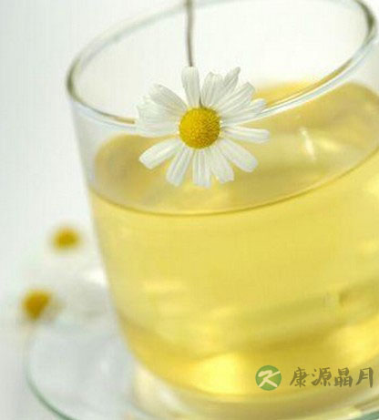 饮茶与减肥 如何饮茶健康减肥