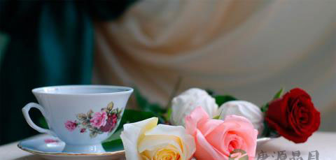 茶叶入菜提香解腻