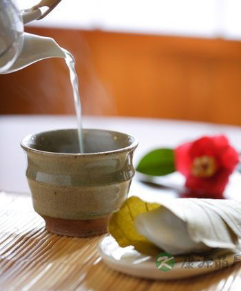 喝苦荞茶的禁忌及副作用