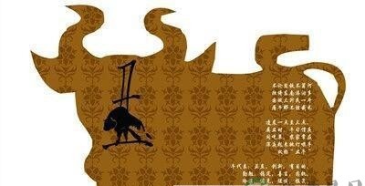 3分钟让你记住十二时辰养生