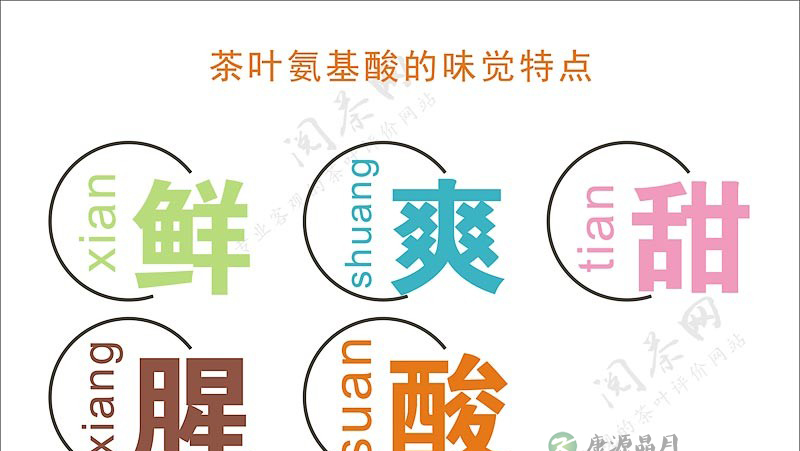 茶学小识：过则为灾的氨基酸