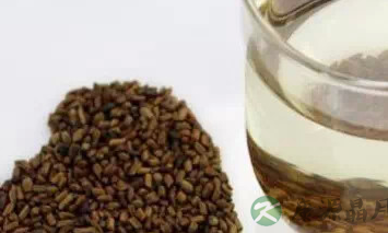 4款减肥茶，让你夏天瘦成一道闪电 ！