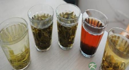 你需要喝什么茶才健康