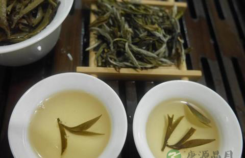 白茶主要功效介绍