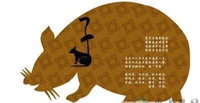 3分钟让你记住十二时辰养生