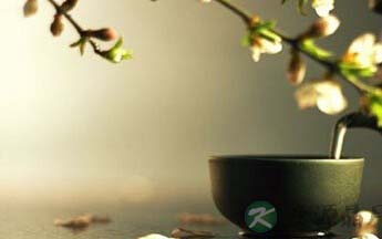 以茶养生 营养保健养生茶的功效介绍