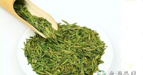 茶的主要成分10多种维生素及茶多酚等介绍