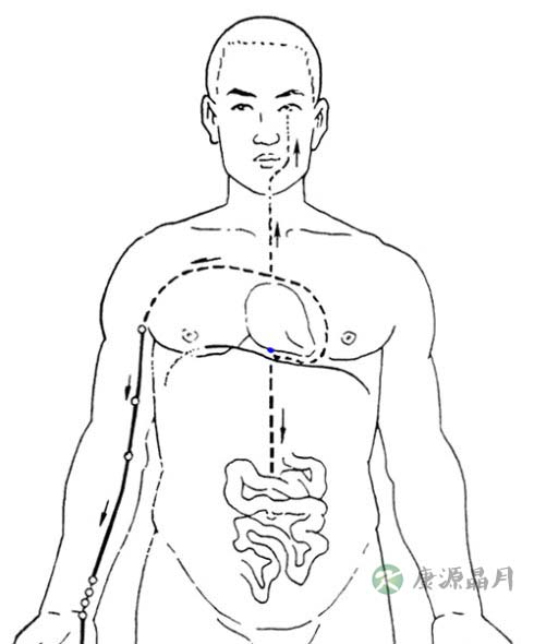 子午流注与五脏六腑疾病