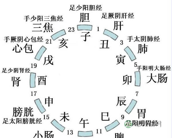 子午流注与五脏六腑疾病