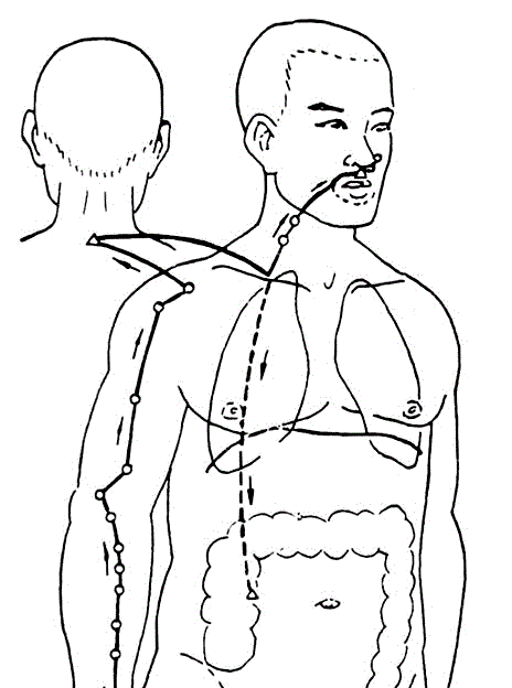 子午流注与五脏六腑疾病