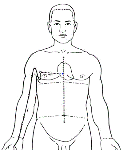 子午流注与五脏六腑疾病