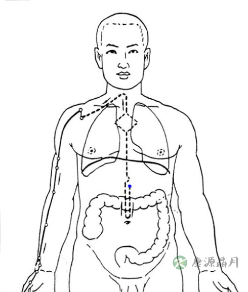 子午流注与五脏六腑疾病