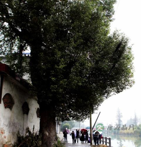 从余杭龙泉观看道教的兴衰 从余杭龙泉观看道教的兴衰