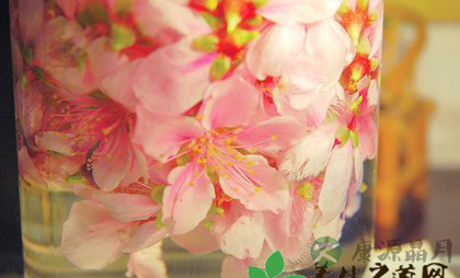 鲜花养生 理气又养颜