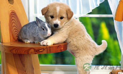 好的生活习惯助你健康长寿