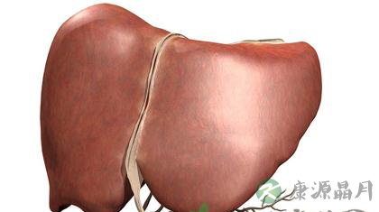 中医护肝五大秘诀